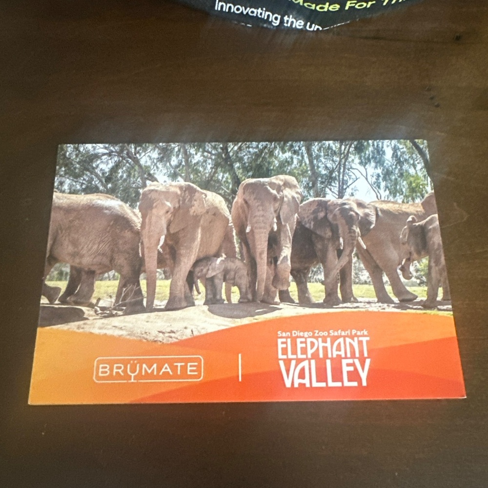Brumate Safari Park Elephant Collection SAVANNA SUNRISE 40oz Era Tumbler NEW - Picture 5 of 6